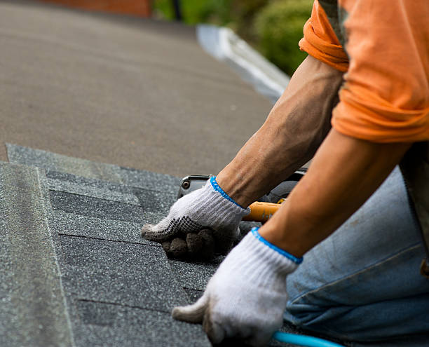 Best Roof Maintenance Services  in New Lno, LA