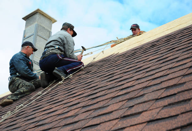 Best Roof Leak Repair  in New Lno, LA